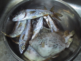 tyouka