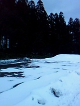 063e1991.jpg