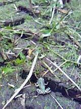 086d08fc.jpg