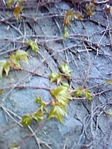 09283ee9.jpg