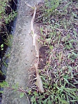 16f19fe6.jpg