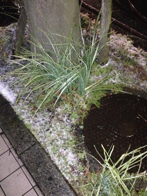 2015-01-30-06-16-32