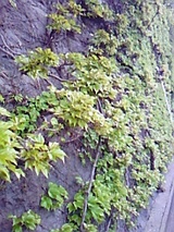2cb90c9a.jpg