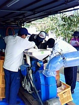 2fd44300.jpg