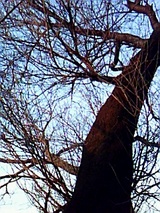 376ea324.jpg