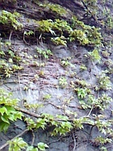 42834a0a.jpg
