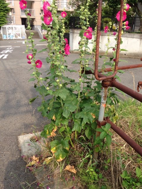 2014-06-21-07-38-41