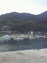 4ec0523b.jpg