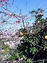 4f46decb.jpg