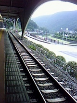 50d8c5a0.jpg
