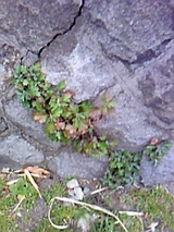 5fd21f02.jpg
