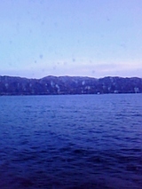 61d29b64.jpg