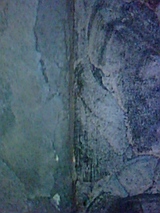 655332f0.jpg