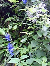 6d38f4e2.jpg