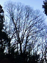 6fb46065.jpg