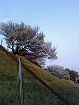 7699f188.jpg