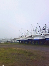 787df07b.jpg