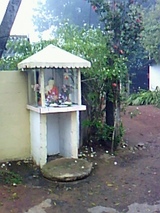 80106789.jpg