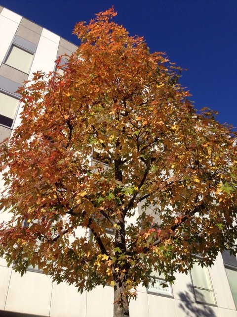 2014-11-18-08-30-21