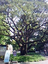 85674d17.jpg