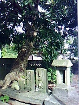 8b2557c5.jpg