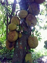 9c236c18.jpg