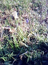 9d065348.jpg