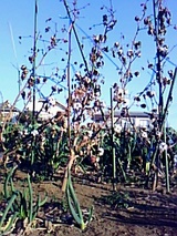 9d7dc9b0.jpg