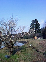 9fd85a1f.jpg