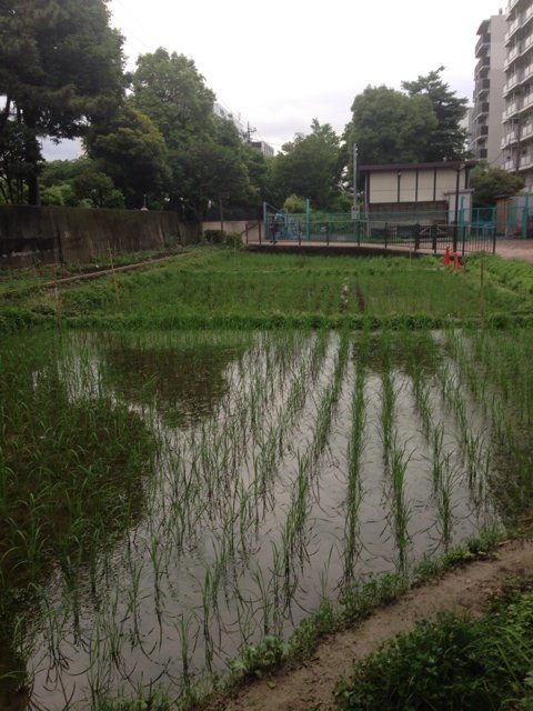 2014-06-12-17-45-10