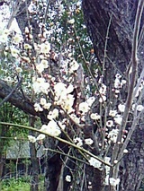 b488e67a.jpg