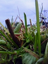 b851bbb6.jpg