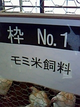 d2a74f54.jpg