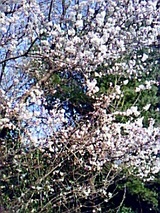 dbd06d73.jpg