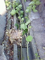 df31c844.jpg