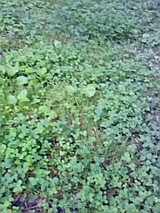 e1cb79b5.jpg