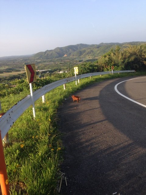 2014-06-01-06-23-00