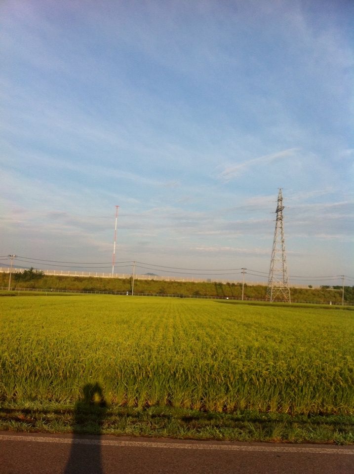 2012-08-28 06:43:50 ¼Ì¿¿1