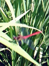 f12573f1.jpg