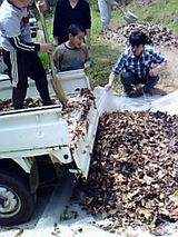fa73380c.jpg