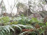 s-IMG_5569