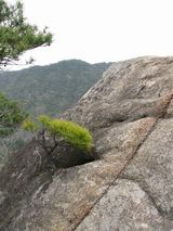 s-IMG_5580