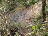 s-IMG_5565