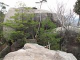 s-IMG_5587