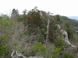 s-IMG_5582