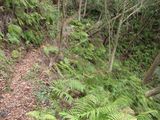 s-IMG_5567
