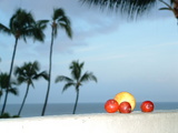 hawaii 070