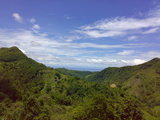 07062008761
