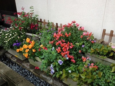 kurume_niwa00