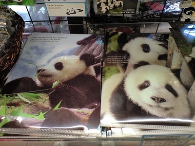 panda_25
